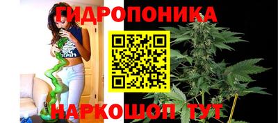 spice Славгород