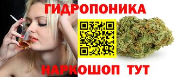 spice Славгород